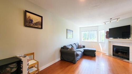 24 5352 Vedder Road, Chilliwack, BC - Indoor Photo Showing Living Room With Fireplace