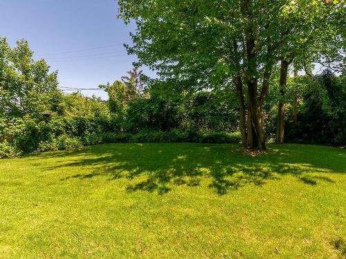 Backyard - 8455 Av. San-Francisco, Brossard, QC - Outdoor