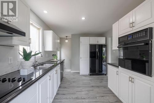 358 Fleming Drive, London, ON - Indoor Photo Showing Kitchen With Double Sink