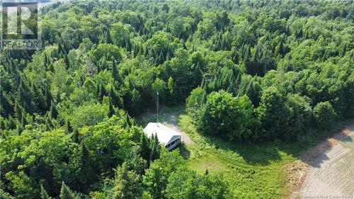 0 Sharkey Road, Jacksonville, NB - Outdoor With View