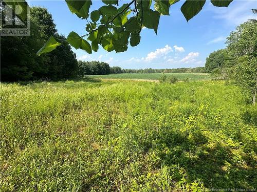 0 Sharkey Road, Jacksonville, NB - Outdoor With View