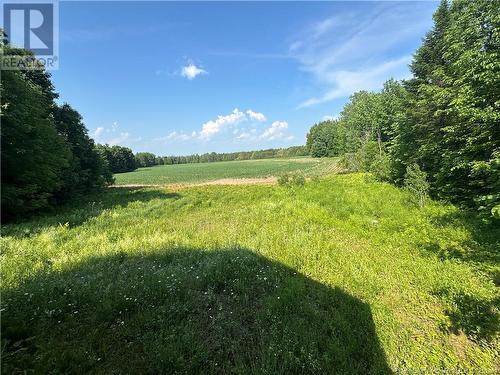 0 Sharkey Road, Jacksonville, NB - Outdoor With View