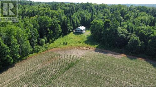 0 Sharkey Road, Jacksonville, NB - Outdoor With View