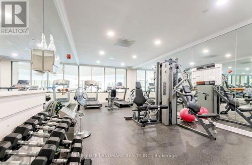 206 - 22 Clarissa Drive, Richmond Hill, ON - Indoor Photo Showing Gym Room
