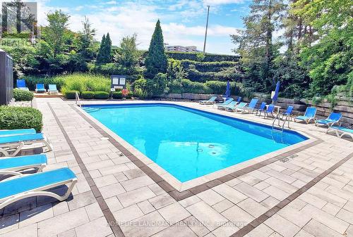 206 - 22 Clarissa Drive, Richmond Hill, ON - Outdoor With In Ground Pool With Backyard