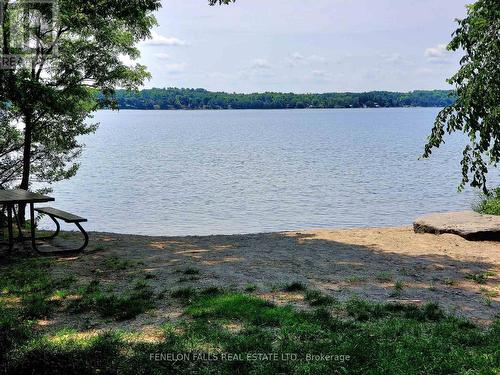 31 Edgewood Drive, Kawartha Lakes, ON - Outdoor With Body Of Water With View