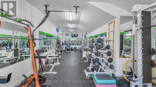 53 Briscoe Street W, London, ON - Indoor Photo Showing Gym Room