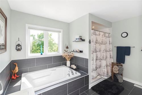 67 Larry Crescent, Caledonia, ON - Indoor Photo Showing Bathroom