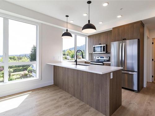 204-201 Dogwood Dr, Ladysmith, BC - Indoor Photo Showing Kitchen With Upgraded Kitchen