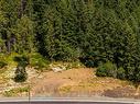 Lot 2 Wildwood Dr, Duncan, BC 