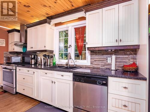 785 Cedar Glen Road, Kawartha Lakes, ON - Indoor Photo Showing Kitchen With Double Sink