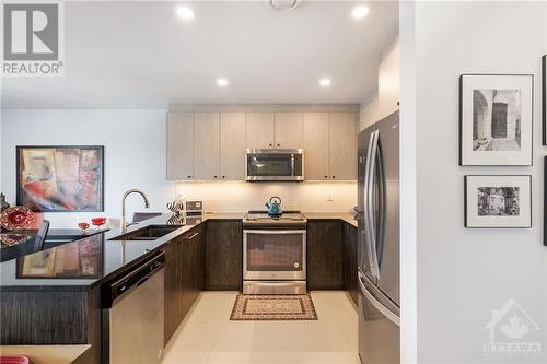 360 Tribeca Private Unit#10, Ottawa, ON - Indoor Photo Showing Kitchen With Double Sink With Upgraded Kitchen