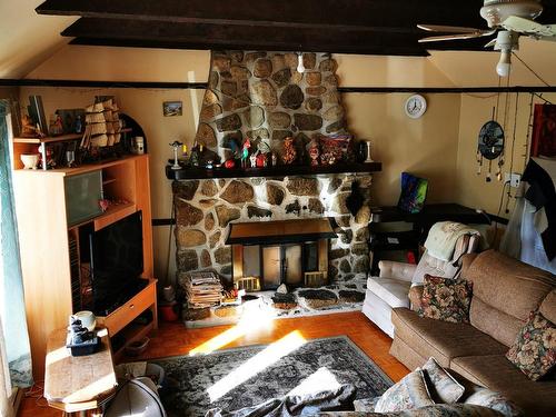 Salon - 204  - 206 Ch. Beaulne, Piedmont, QC - Indoor Photo Showing Living Room With Fireplace