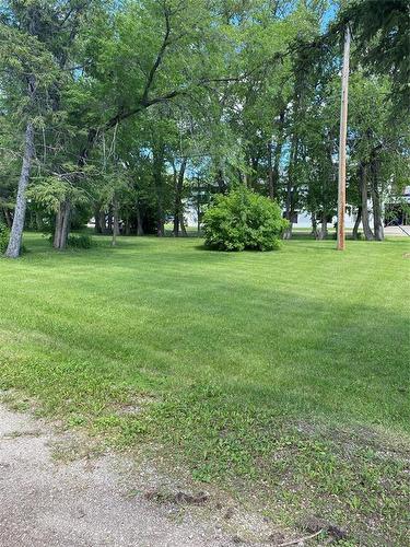 123 4Th Street, Baldur, MB - Outdoor