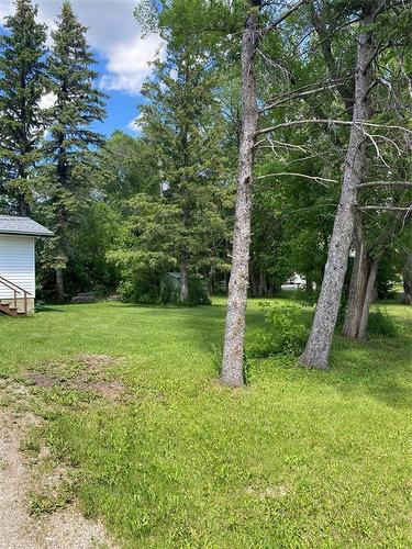 123 4Th Street, Baldur, MB - Outdoor