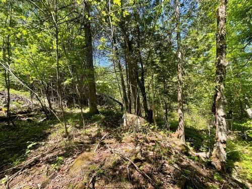 Terre/Terrain - Route 311 S., Lac-Des-Écorces, QC 