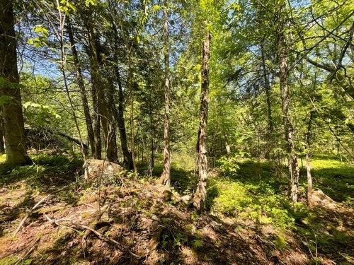 Terre/Terrain - Route 311 S., Lac-Des-Écorces, QC 