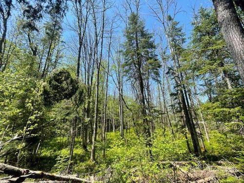 Terre/Terrain - Route 311 S., Lac-Des-Écorces, QC 