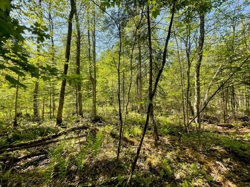 Terre/Terrain - Route 311 S., Lac-Des-Écorces, QC 