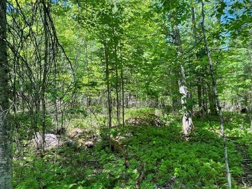 Terre/Terrain - Route 311 S., Lac-Des-Écorces, QC 