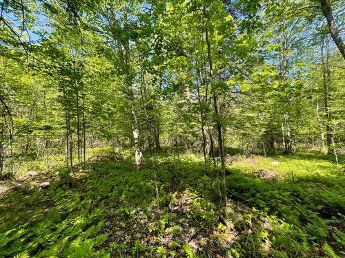 Terre/Terrain - Route 311 S., Lac-Des-Écorces, QC 