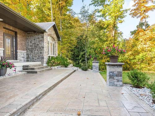 37 Heron Blvd, Springwater, ON - Outdoor