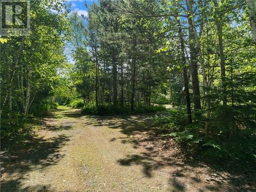 5286 Pine Hill Road, Sudbury, ON - Outdoor With View