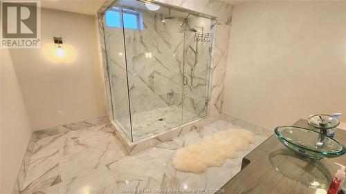 380 Shoreview Circle, Windsor, ON - Indoor Photo Showing Bathroom
