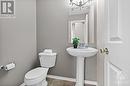 509 Lakeridge Drive, Ottawa, ON  - Indoor Photo Showing Bathroom 