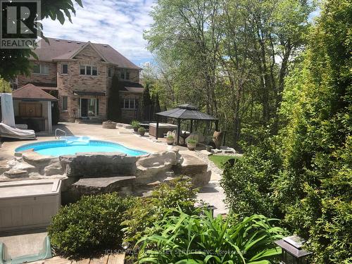 244 Eaton Street, Halton Hills, ON - Outdoor With In Ground Pool With Backyard