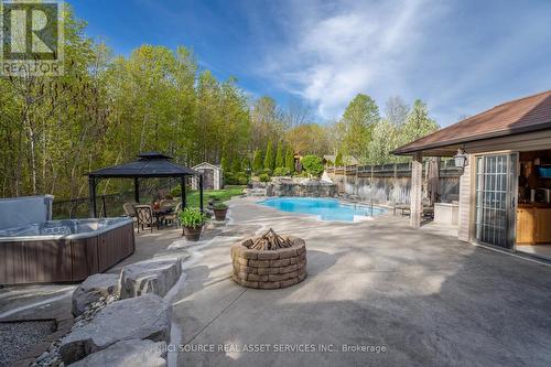 244 Eaton Street, Halton Hills, ON - Outdoor With In Ground Pool