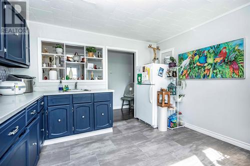 6 Chafe Avenue, St. John'S, NL - Indoor Photo Showing Kitchen