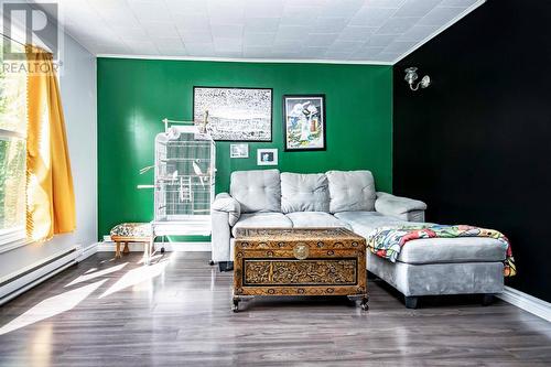 6 Chafe Avenue, St. John'S, NL - Indoor Photo Showing Living Room