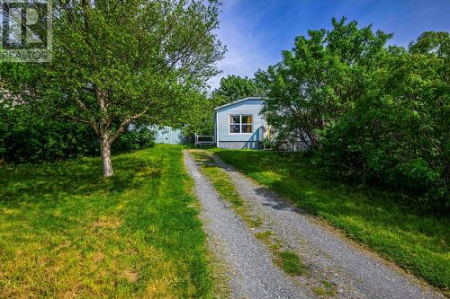 6 Chafe Avenue, St. John'S, NL - Outdoor