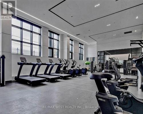 409 - 50 George Butchart Drive, Toronto, ON - Indoor Photo Showing Gym Room