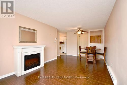 103 - 25 Meadow Lane, Barrie, ON - Indoor Photo Showing Living Room With Fireplace