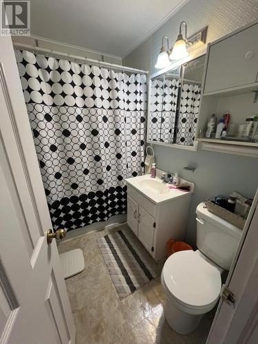 8 Bar Haven Heights, Arnold'S Cove, NL - Indoor Photo Showing Bathroom