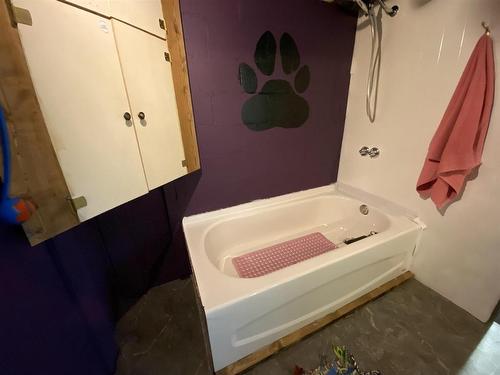 1215 Donald Street, Thunder Bay, ON - Indoor Photo Showing Bathroom