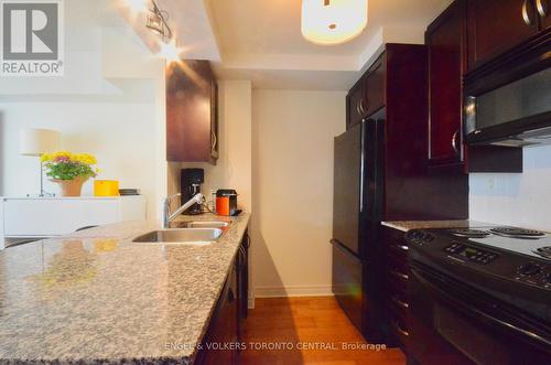 608 - 100 Hayden Street, Toronto, ON - Indoor Photo Showing Kitchen With Double Sink