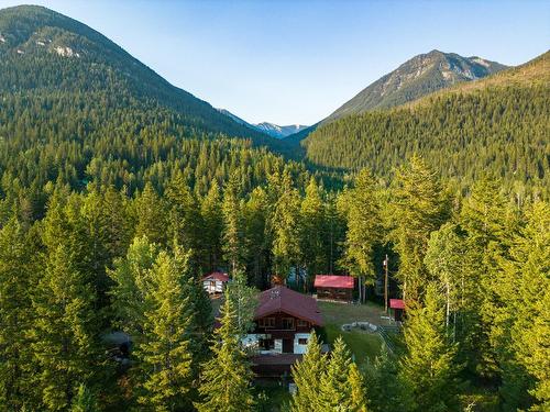 933 Oster Road, Golden, BC 