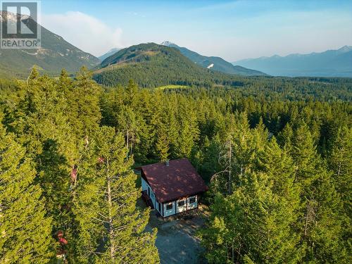 933 Oster Road, Golden, BC - Outdoor With View