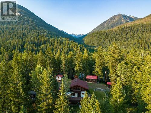 933 Oster Road, Golden, BC - Outdoor With View