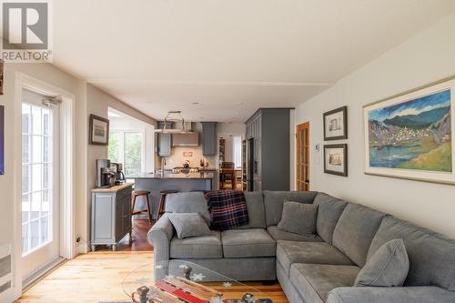 17 Mountbatten Drive, St. John'S, NL - Indoor Photo Showing Living Room