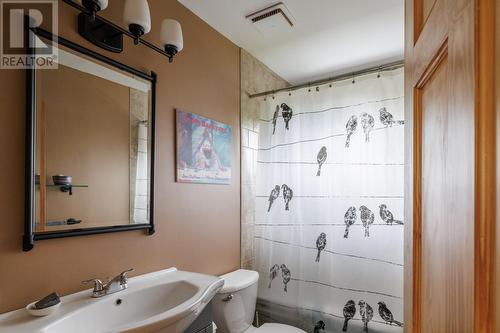 17 Mountbatten Drive, St. John'S, NL - Indoor Photo Showing Bathroom