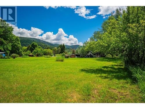 1912 Makayev  Road, Castlegar, BC - Outdoor With View