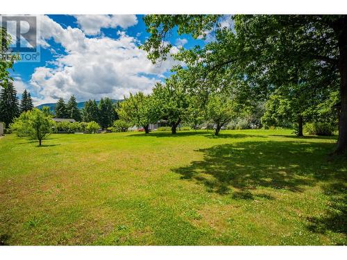 1912 Makayev  Road, Castlegar, BC - Outdoor With View