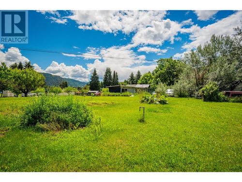 1912 Makayev  Road, Castlegar, BC - Outdoor With View