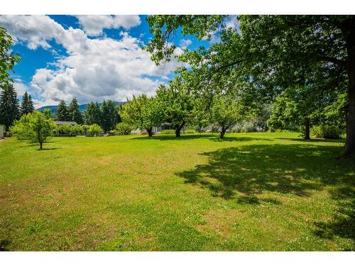 1912 Makayev Road, Castlegar, BC - Outdoor With View