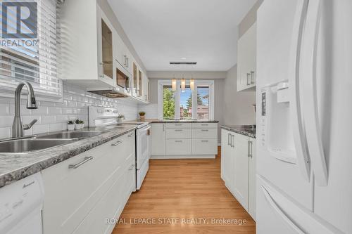 117 Adis Avenue, Hamilton, ON - Indoor Photo Showing Kitchen With Double Sink With Upgraded Kitchen