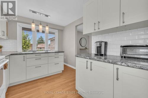 117 Adis Avenue, Hamilton, ON - Indoor Photo Showing Kitchen With Upgraded Kitchen